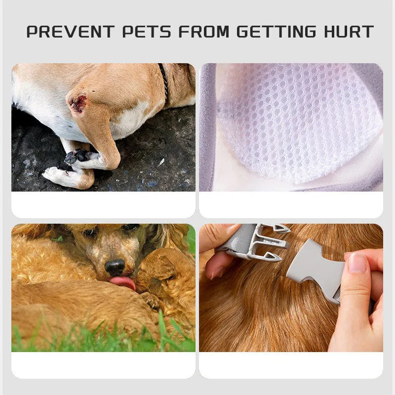 Blue dog knee protector pad with extra-thick elbow padding and matching scarf on a medium dog