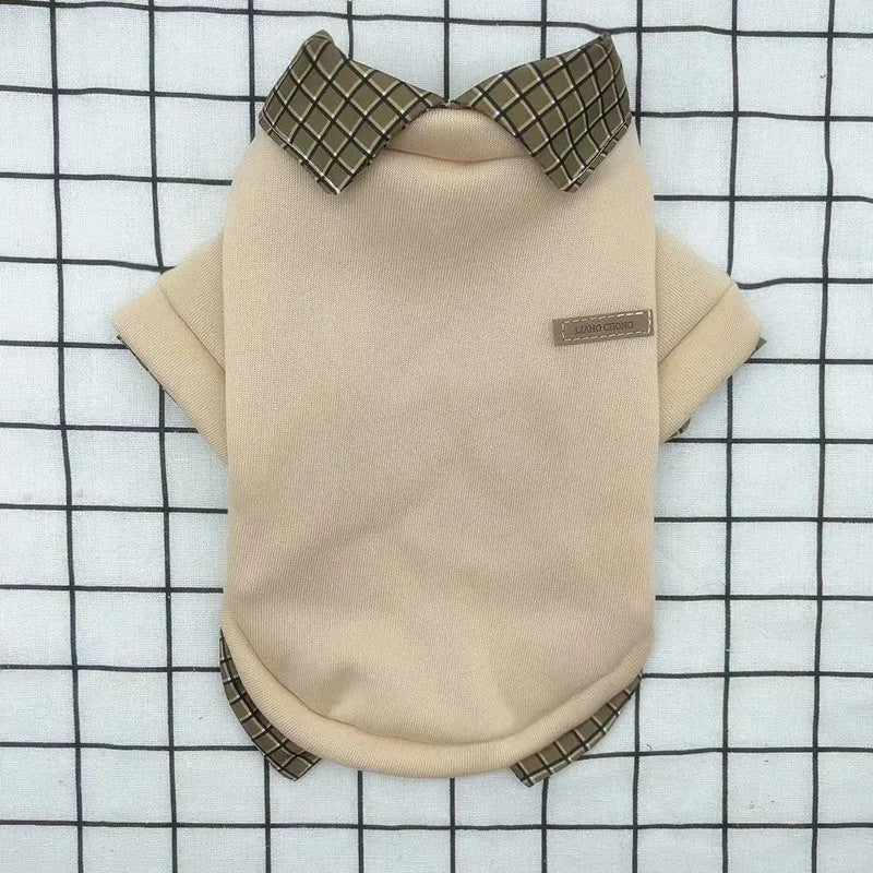 Grey dog jumper with detachable collar hoodie on small breed pet showing two-piece construction