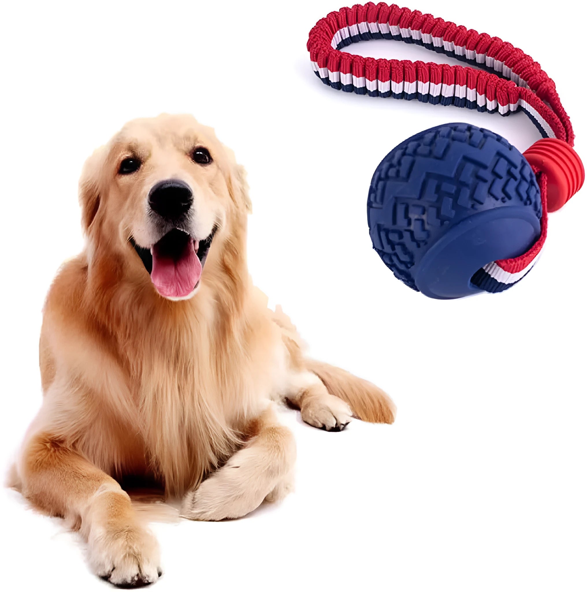 Blue and red dog ball with rope toy showing 6.5cm rubber ball attached to rope