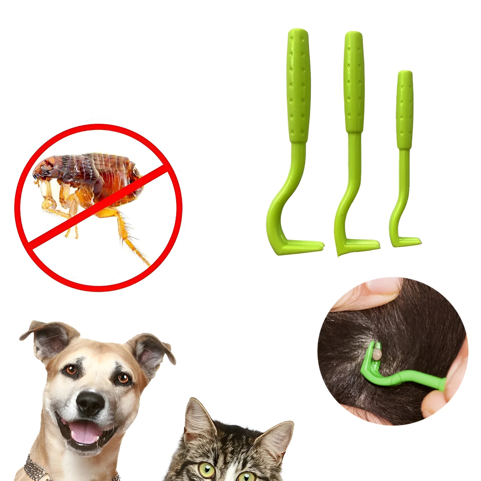3 plastic tick removal tools for pets in blue and green colours