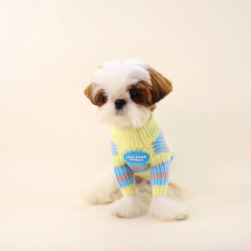 Blue and yellow striped wool dog sweater for small breeds in six sizes