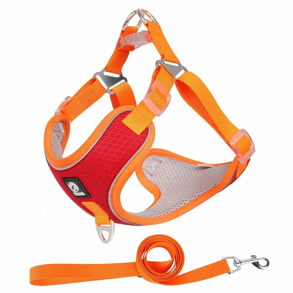Adjustable mesh dog harness with reflective trim in multiple colours for small medium pets