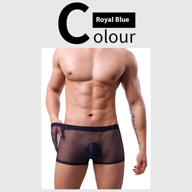 Men's thin sheer mesh boxer briefs in multiple colours on a size chart.