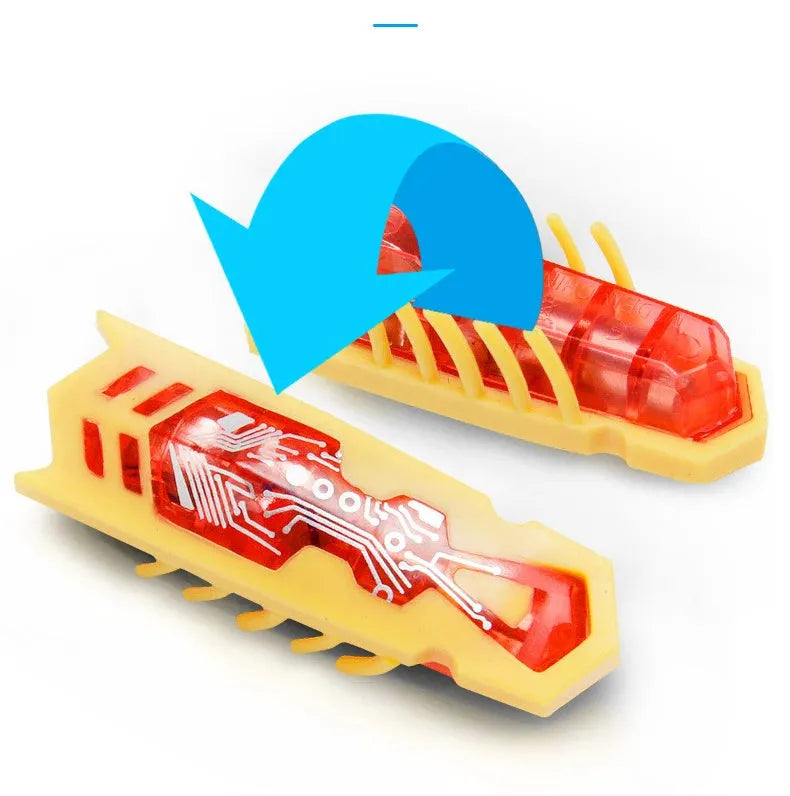 Small electric ladybird beetle toy for cats with automatic flip feature and crawling motion