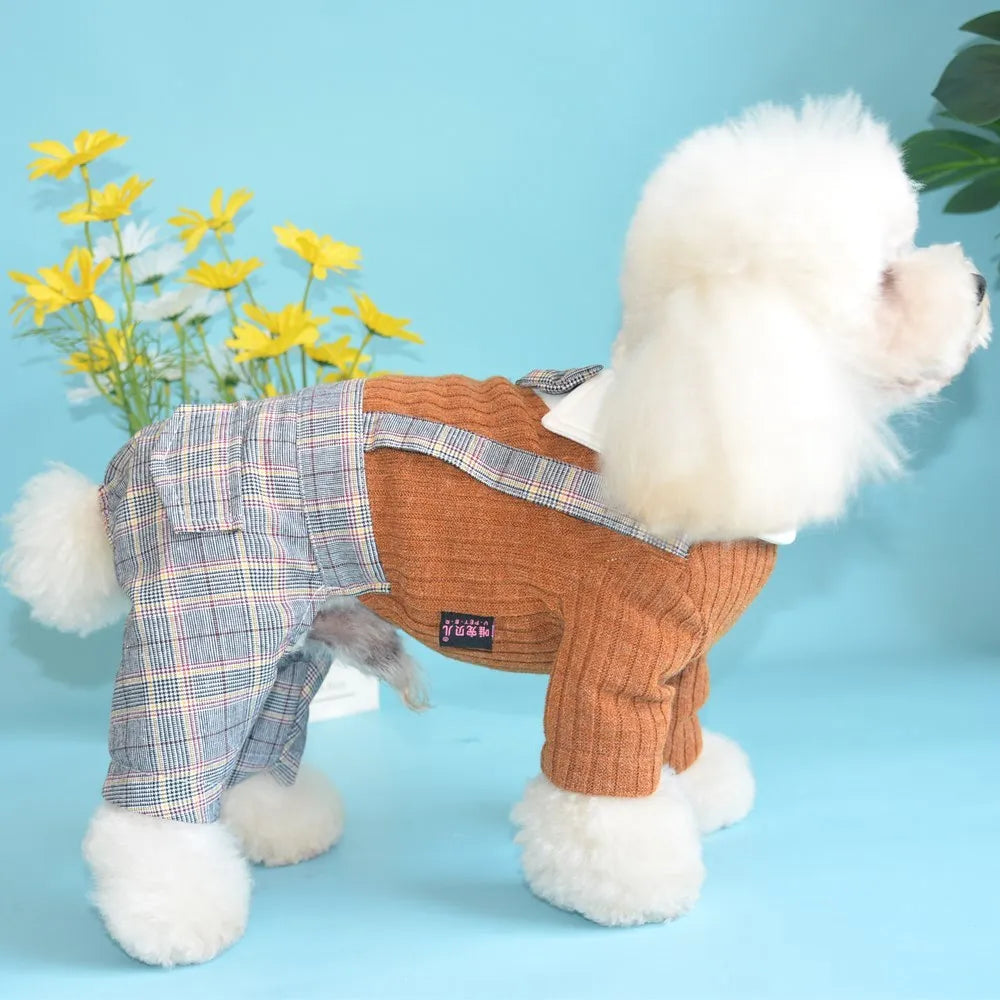 Cotton dog shirt suit for small pets in dark blue and orange colour options