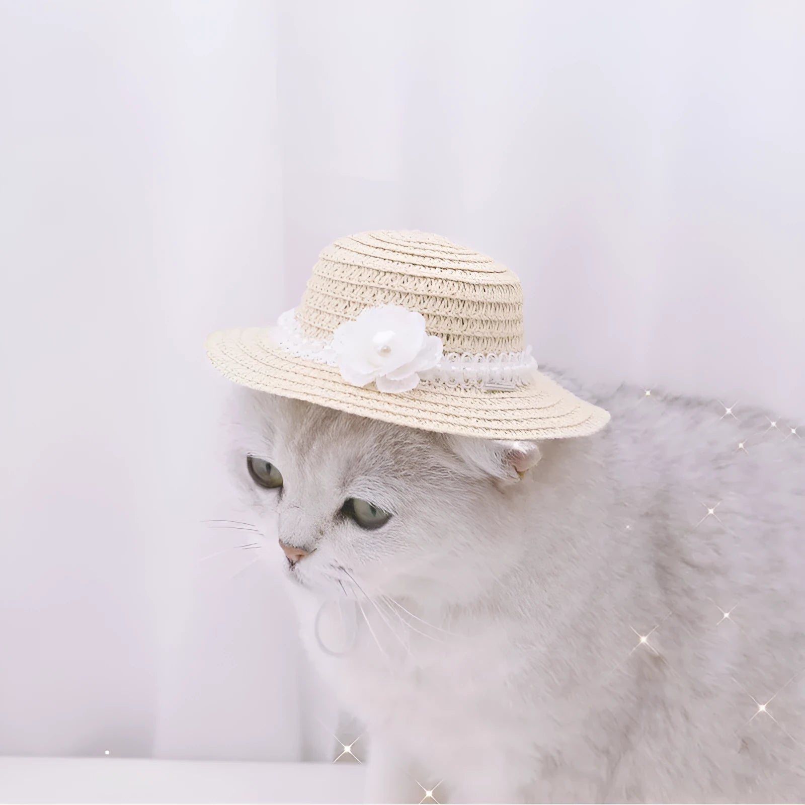 Handmade adjustable bowknot pet hat for dogs and cats in cartoon style with three size options