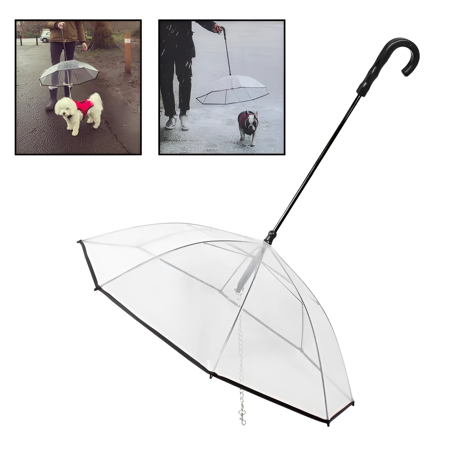 Transparent dog umbrella with traction chain removable on small dog for rainy walk