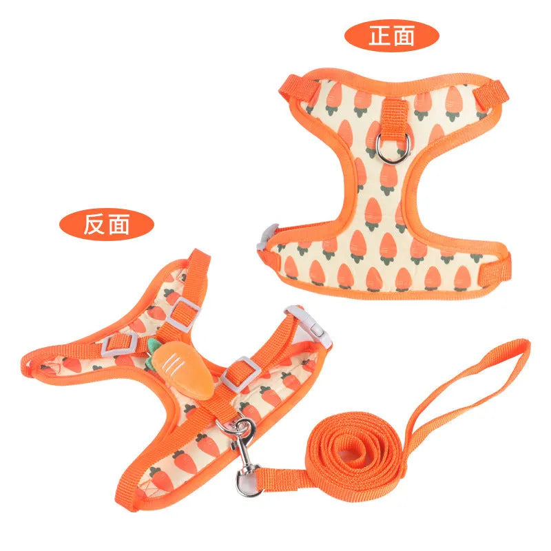 Reflective chest strap vest-style dog walking lead for small dogs in bright colours