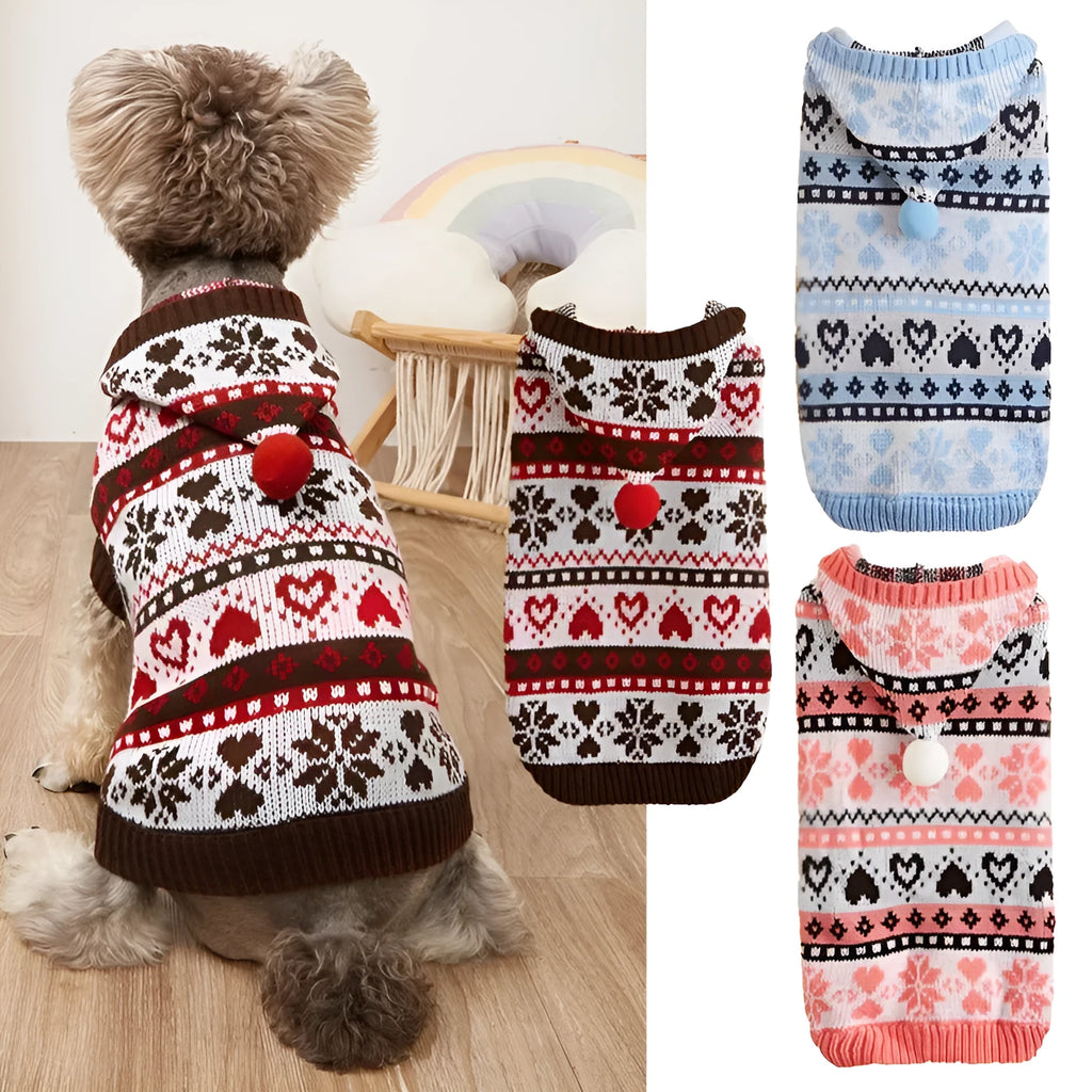 Blue striped camouflage knitted acrylic sweater on a small Bichon dog, showing snowflake and love heart patterns.