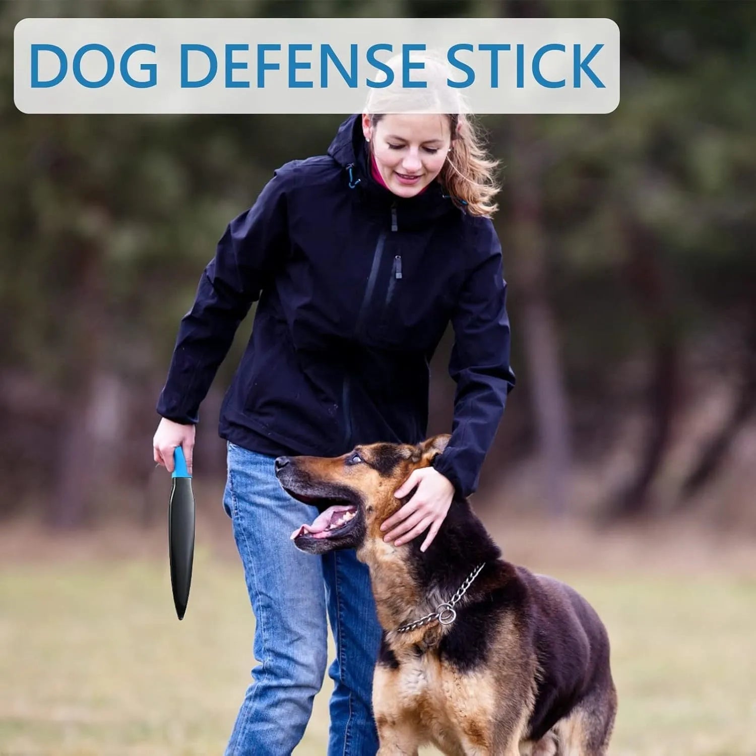 Blue handled nylon dog break stick for training small and medium dogs.