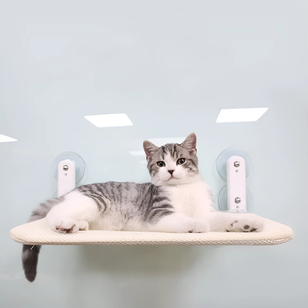 Stainless steel cat window hammock with suction cup mounting in beige mesh, grey mesh, or grey plush options