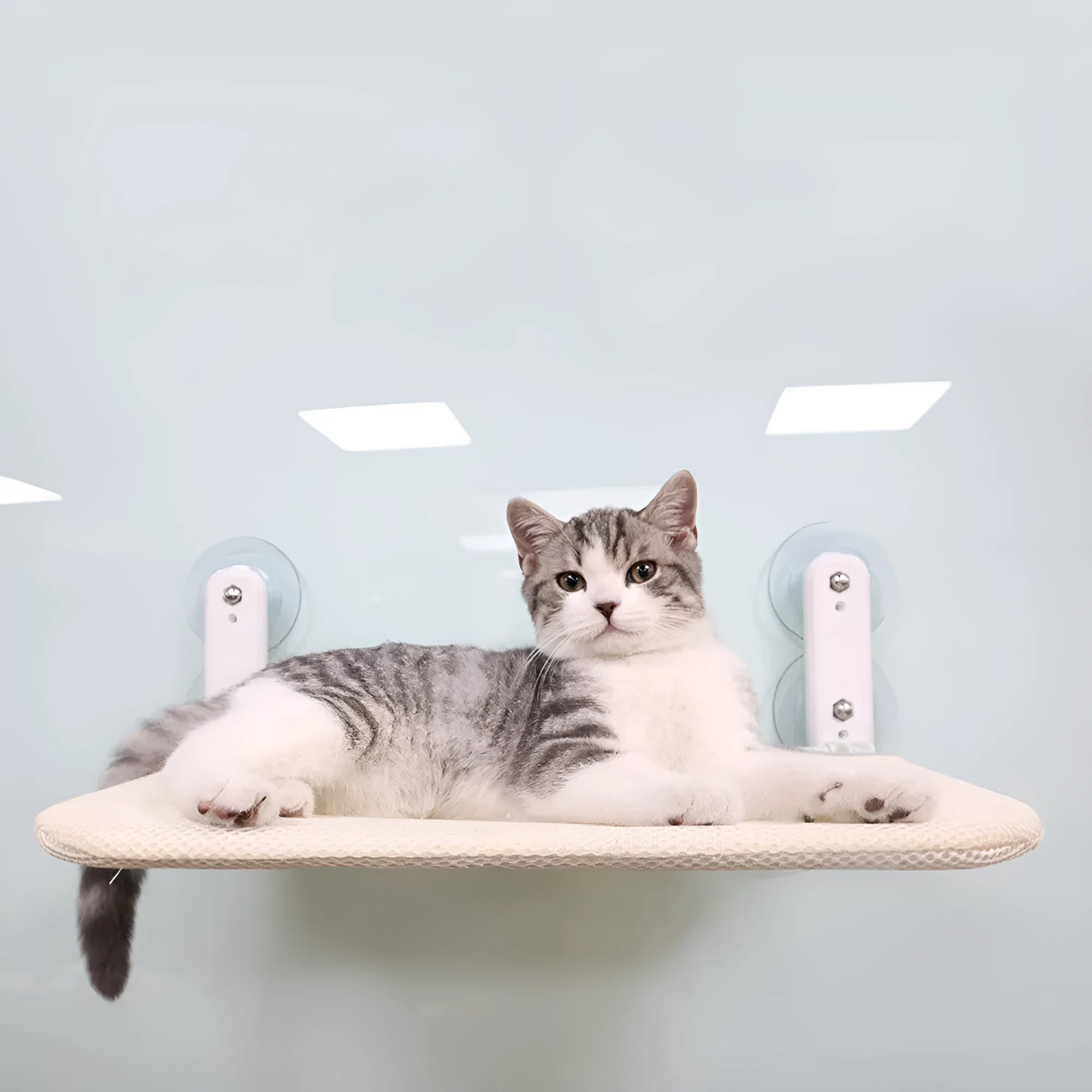 Stainless steel cat window hammock with suction cup mounting in beige mesh, grey mesh, or grey plush options