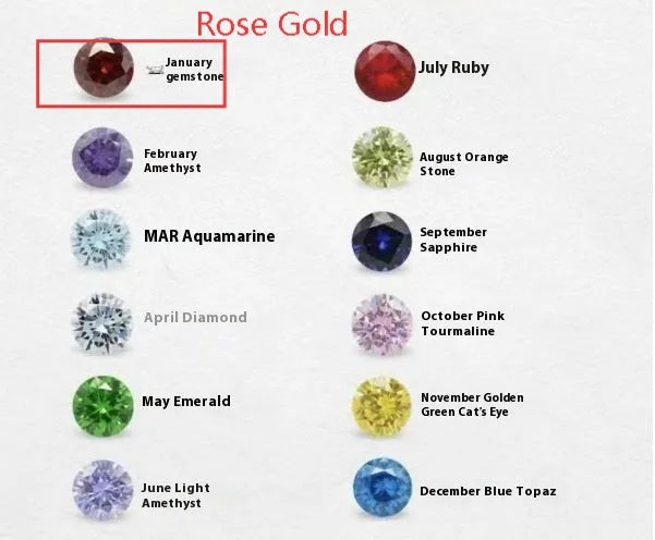 Titanium steel zodiac birthstone necklace with monthly pendant and zircon stone on princess chain