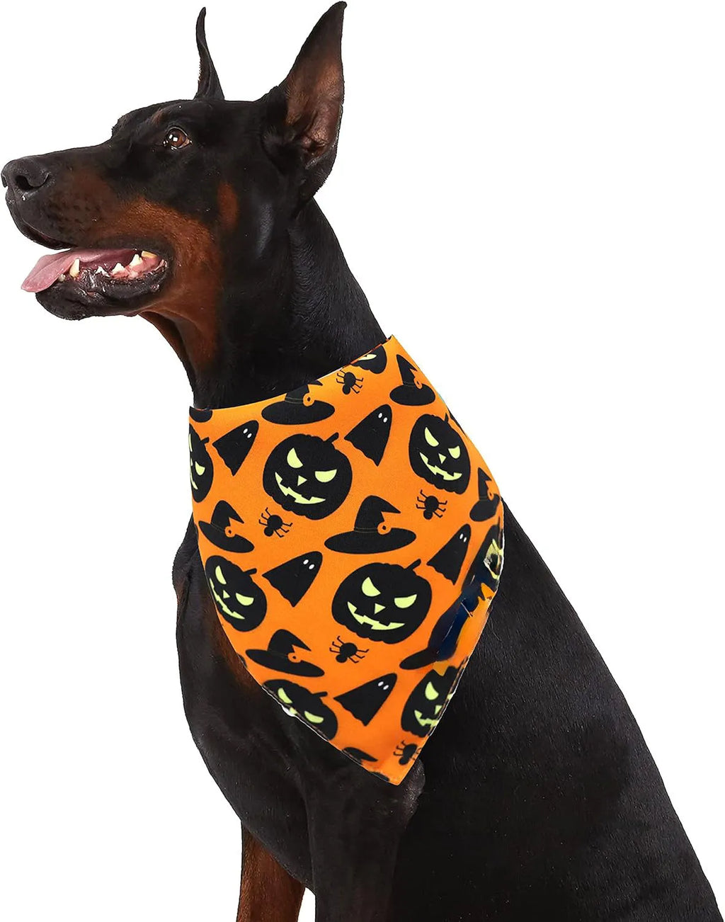 Reversible Halloween dog bandana showing pumpkin and spider web patterns with adjustable neck fastening