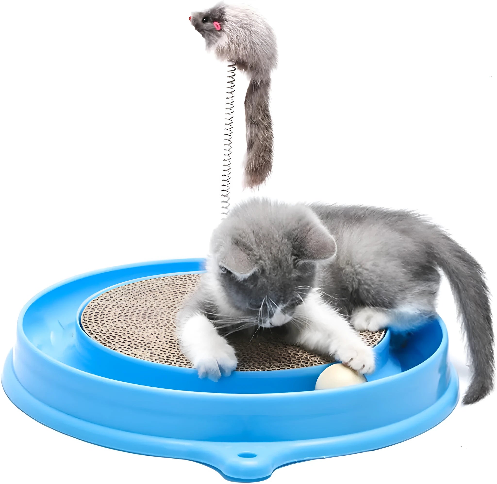 Circular blue cat scratcher with ball track and replaceable centre pad for furniture protection