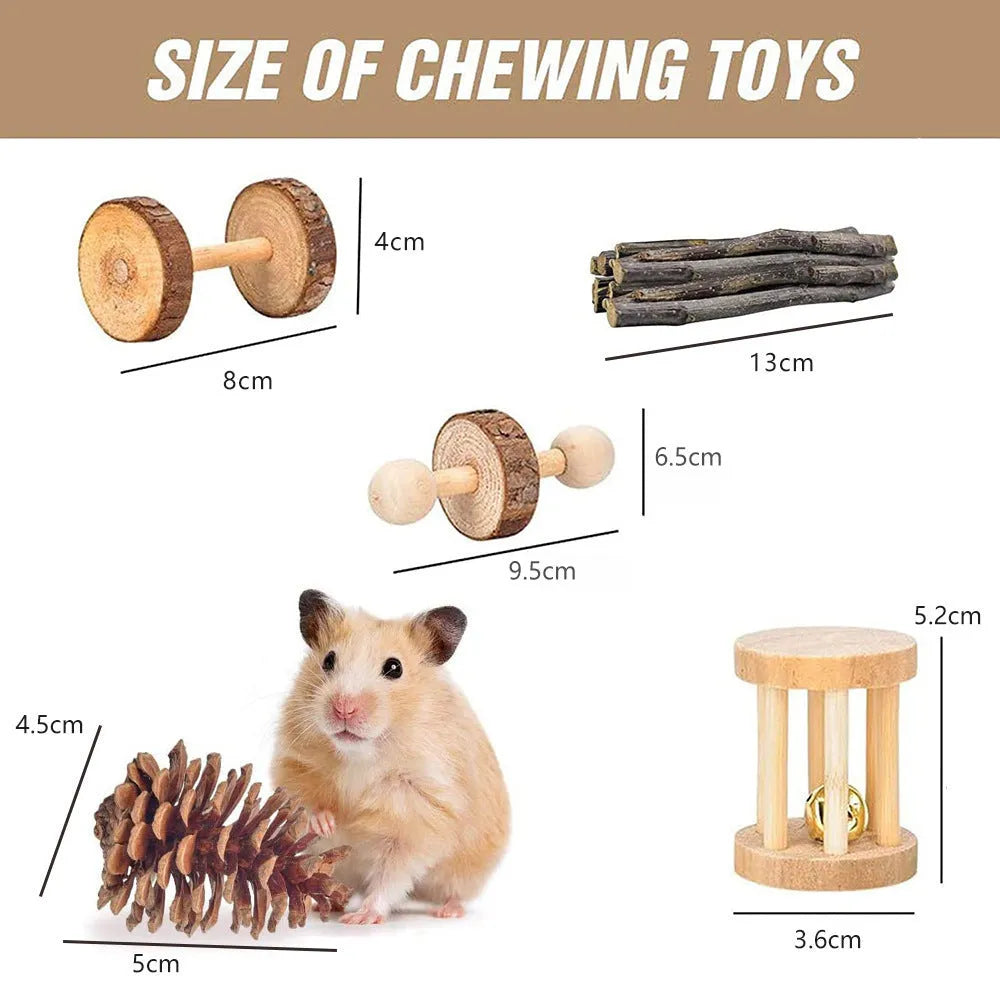 Assorted wooden chew toys for small pets including balls and mats on a natural background