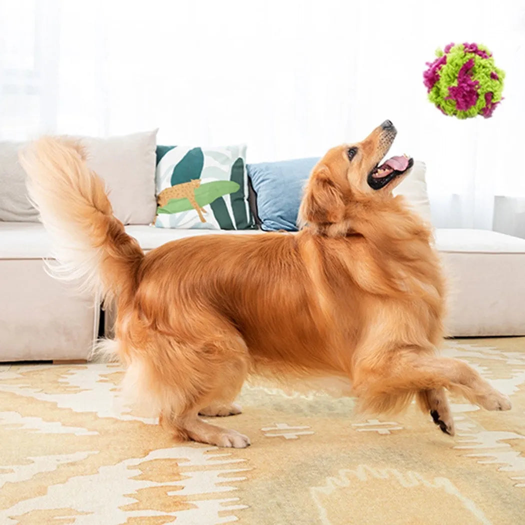 Purple plush seaweed ball dog chew toy measuring 15cm diameter for teething puppies and interactive play