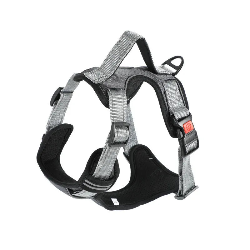 Polyester dog harness with integrated rope attachment points available in multiple colours and sizes