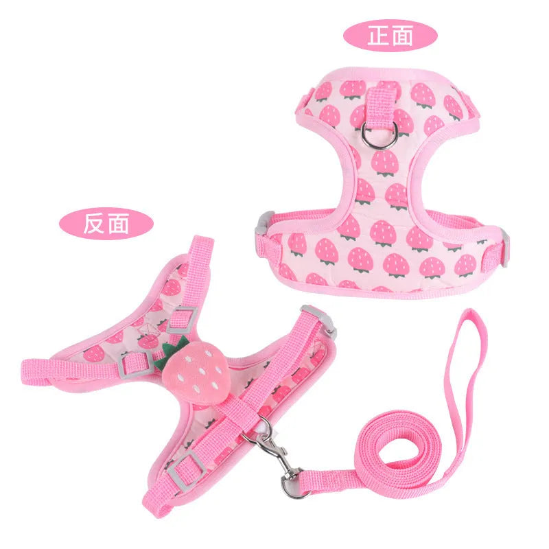 Reflective chest strap vest-style dog walking lead for small dogs in bright colours