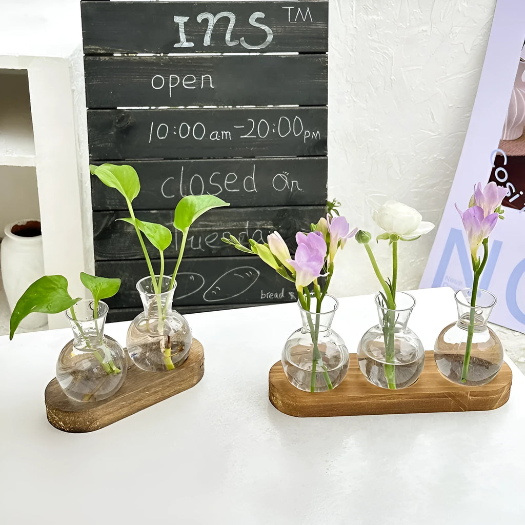 Transparent hydroponic glass vase with wooden frame in wood colour and retro colour options