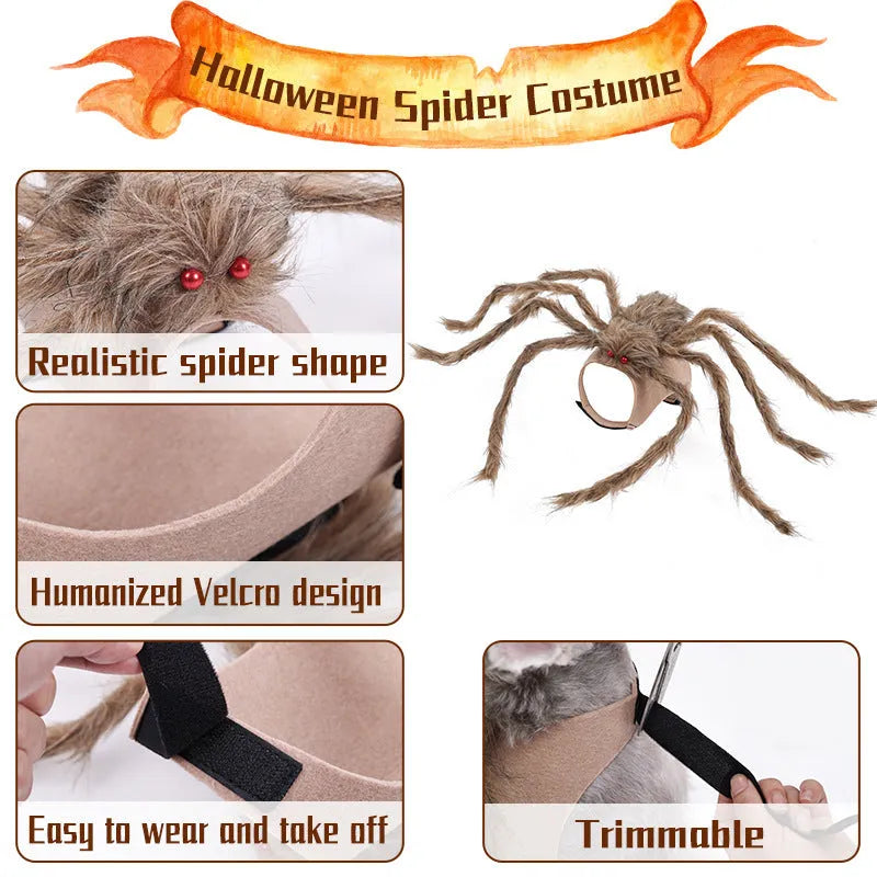 Halloween spider costume for a dog or cat in black and purple colours.