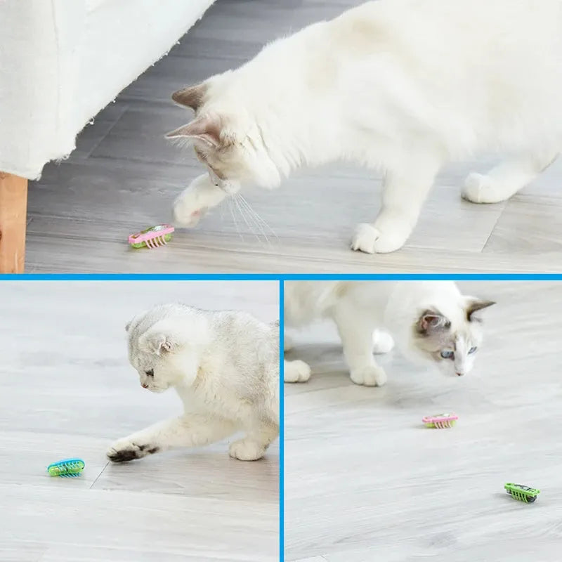 Small electric ladybird beetle toy for cats with automatic flip feature and crawling motion