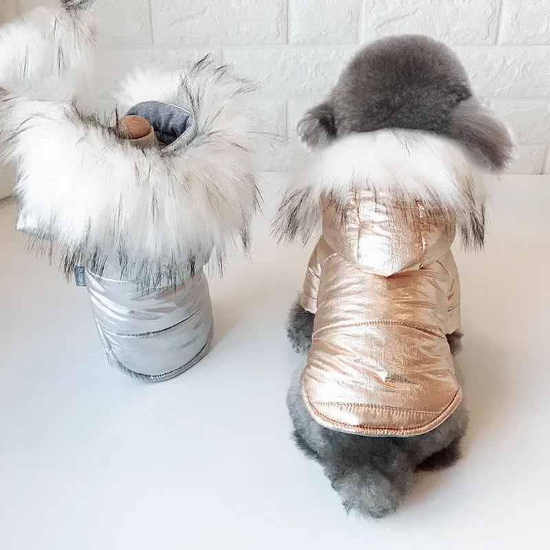Padded winter dog coat in gold cotton, shown on a dog, size M, with neck and chest measurement details