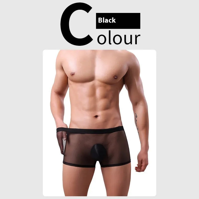 Men's thin sheer mesh boxer briefs in multiple colours on a size chart.