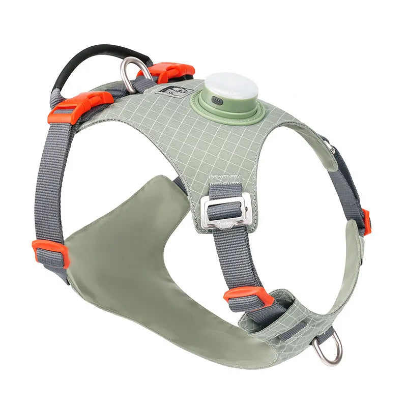LED dog chest harness in multiple colours with adjustable straps for nighttime safety during walks
