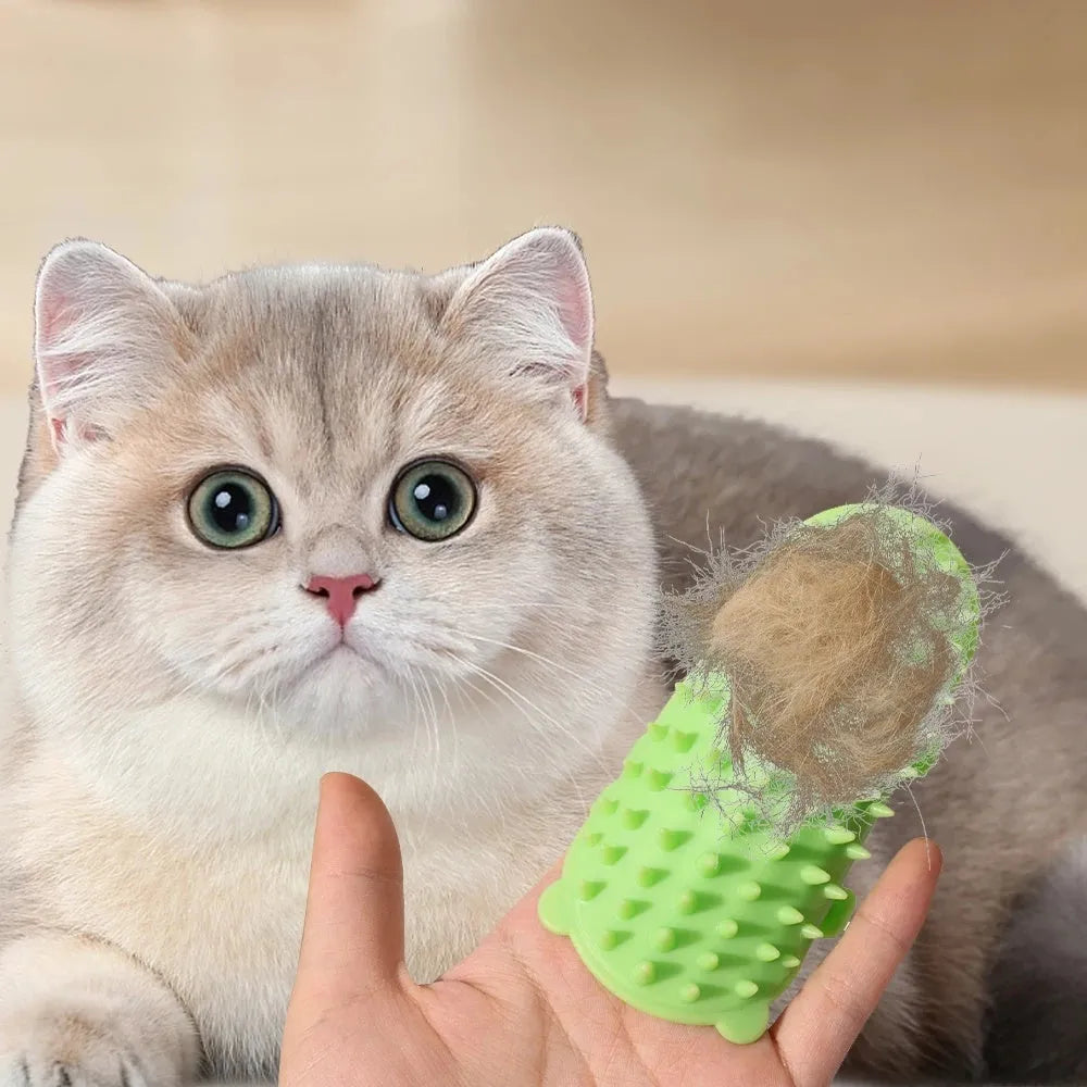 Silicone cat hair removal massage comb attached to a wall corner with rounded teeth for grooming