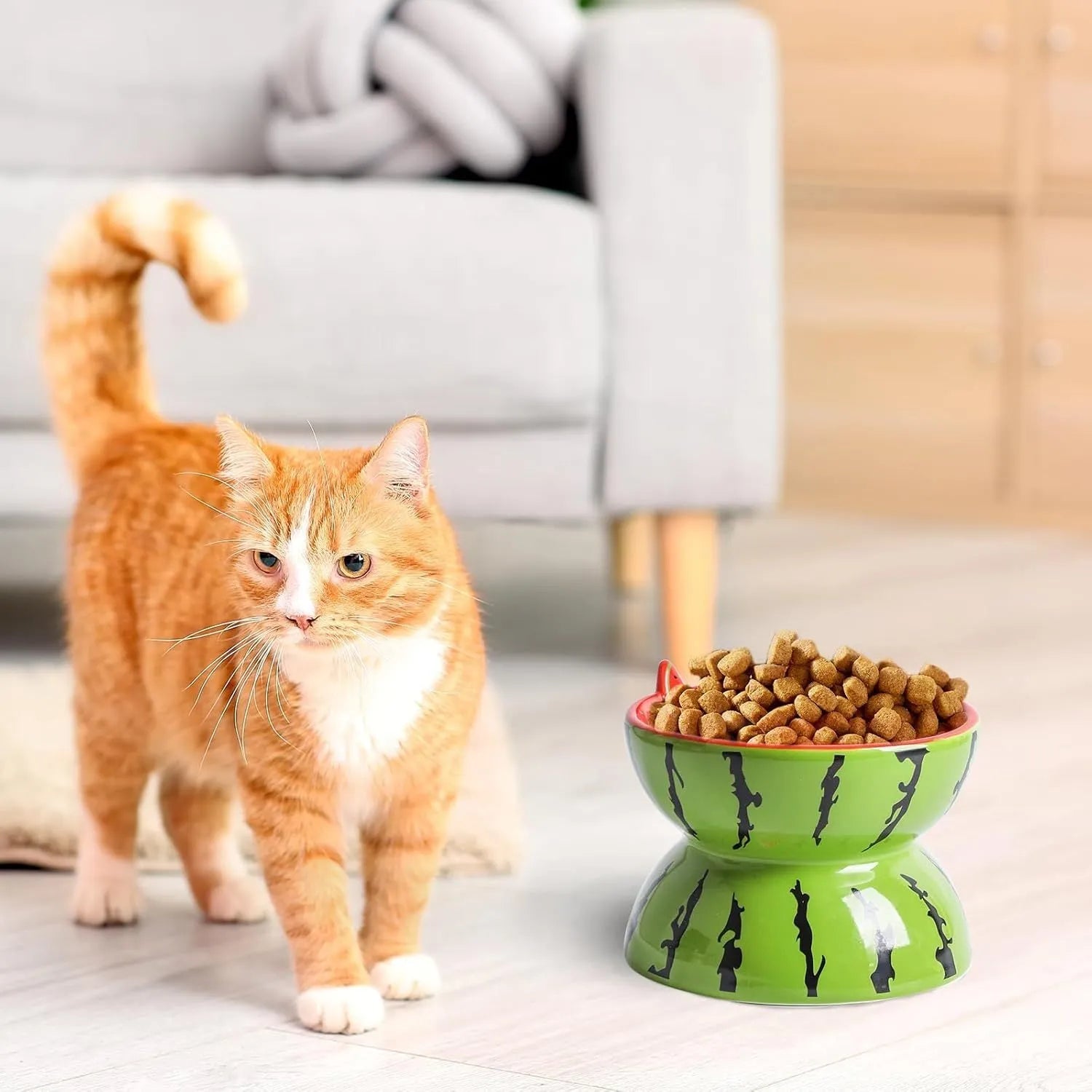Ceramic raised cat bowl with tilted design in orange, pitaya, or watermelon patterns