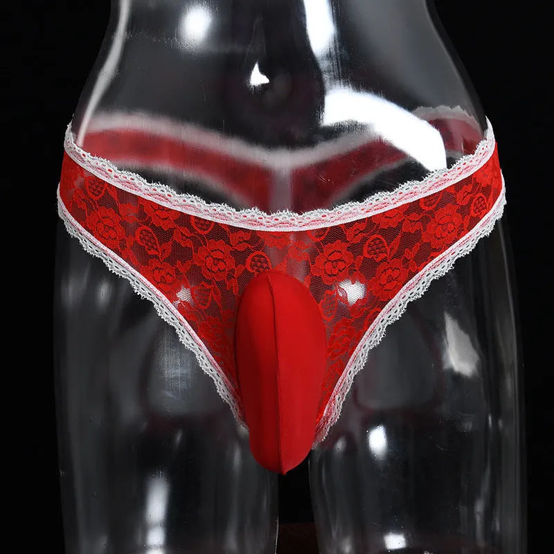 Men's lace triangle briefs with vertical bag egg design and penis cover in black colour