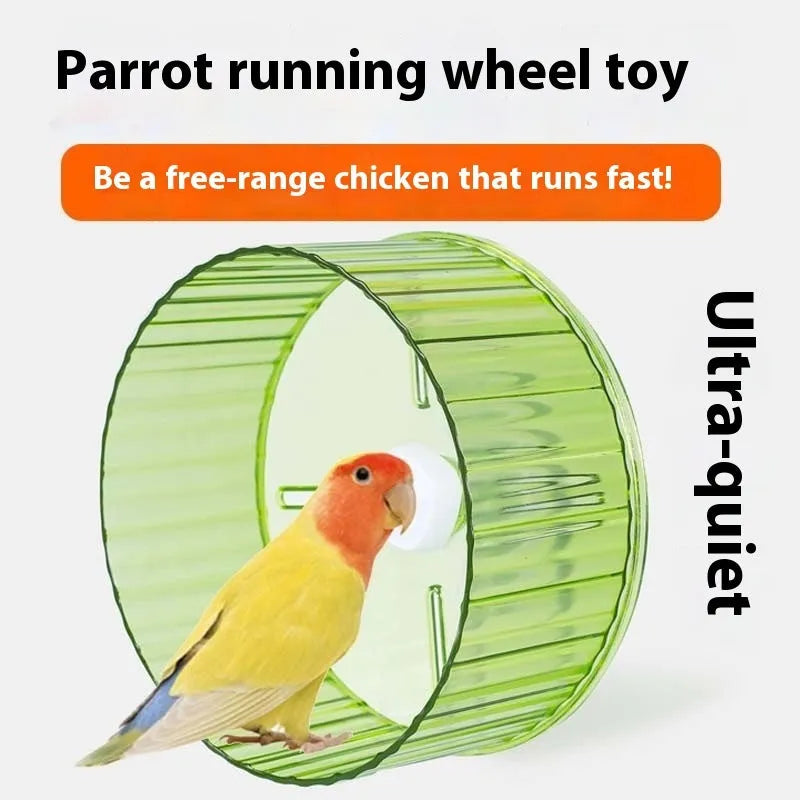 21cm plastic parrot running wheel toy in transparent, green, grey, orange, or purple colour options