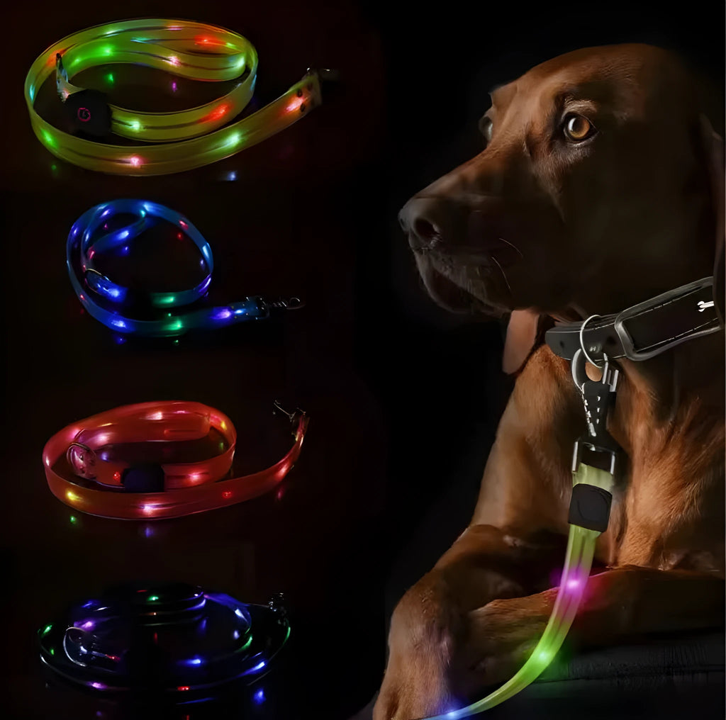 Luminous dog collar rope leash in fluorescent green colour with PVC construction