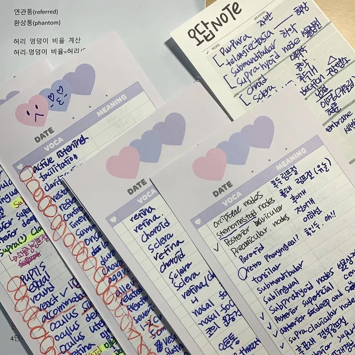 Vertical double-sided English words notepad in B5 half size with pink, purple and blue colour options