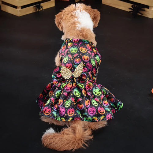 Angel wings Halloween dog costume in bright pumpkin colour showing wing design and size options