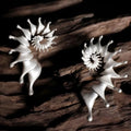 Exaggerated three-dimensional matte conch stud earrings in an alloy with an electroplated finish.