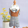 Cotton dog shirt suit for small pets in dark blue and orange colour options