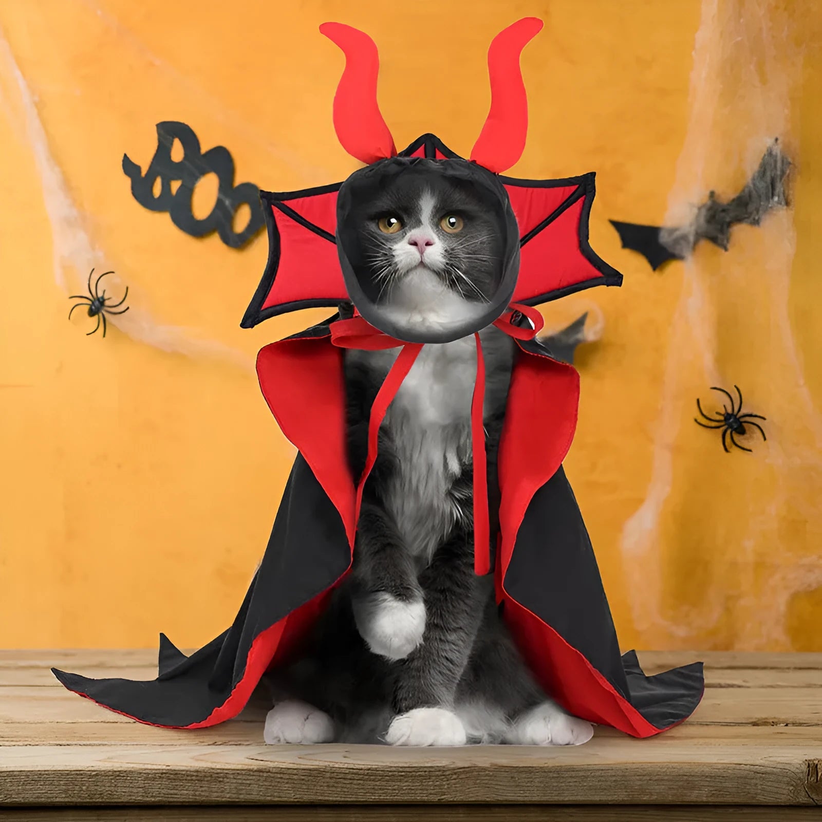 Black polyester pet vampire costume with hooded cloak for Halloween