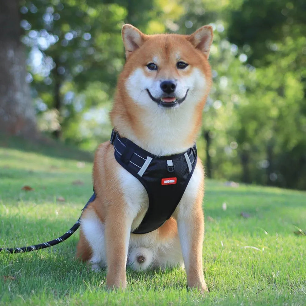 Nylon Oxford cloth no-pull dog harness with reflective strip and adjustable buckles in orange