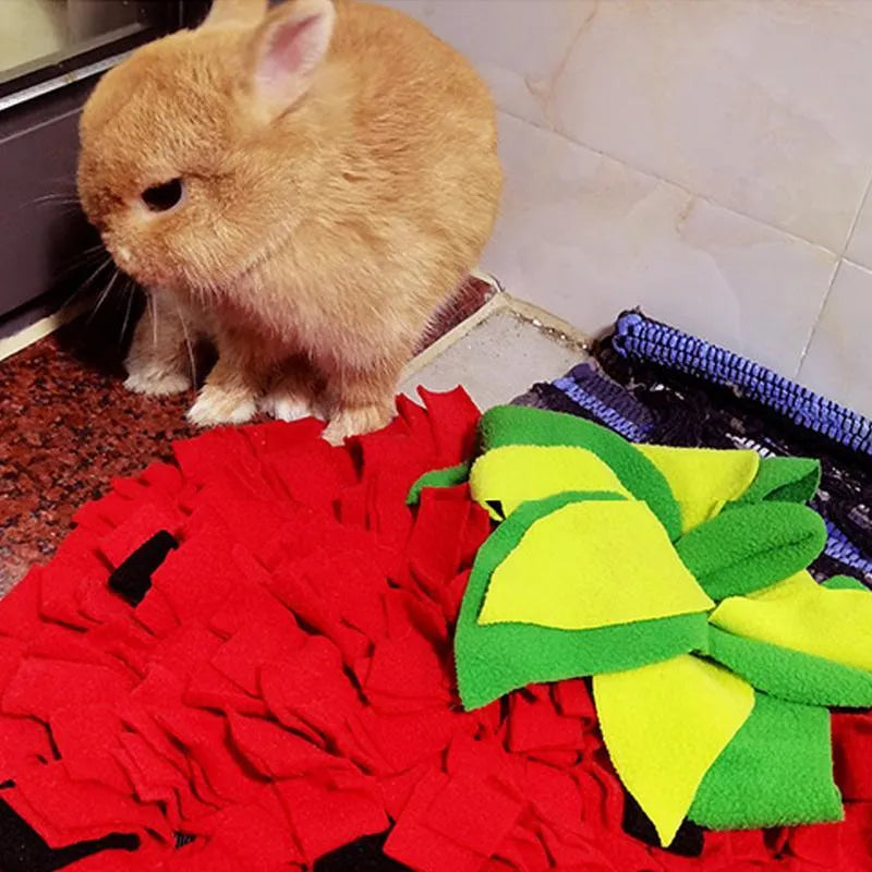 Red and green strawberry-shaped snuffle mat for dogs and cats on a floor.