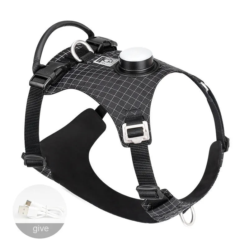 LED dog chest harness in multiple colours with adjustable straps for nighttime safety during walks
