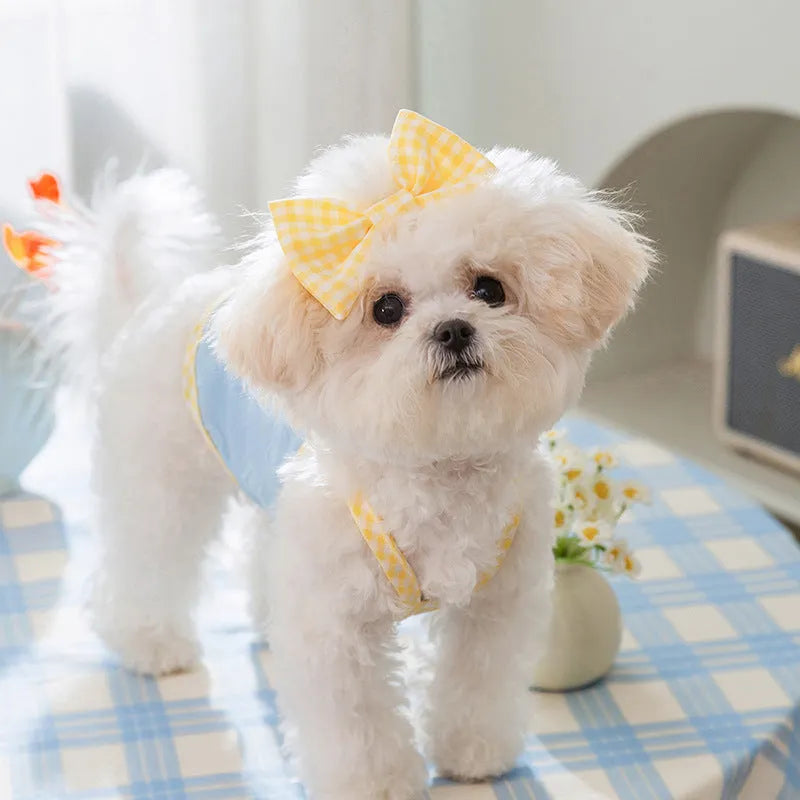 Small dog wearing heart texture vest with bow suspenders in Bondi Blue colour