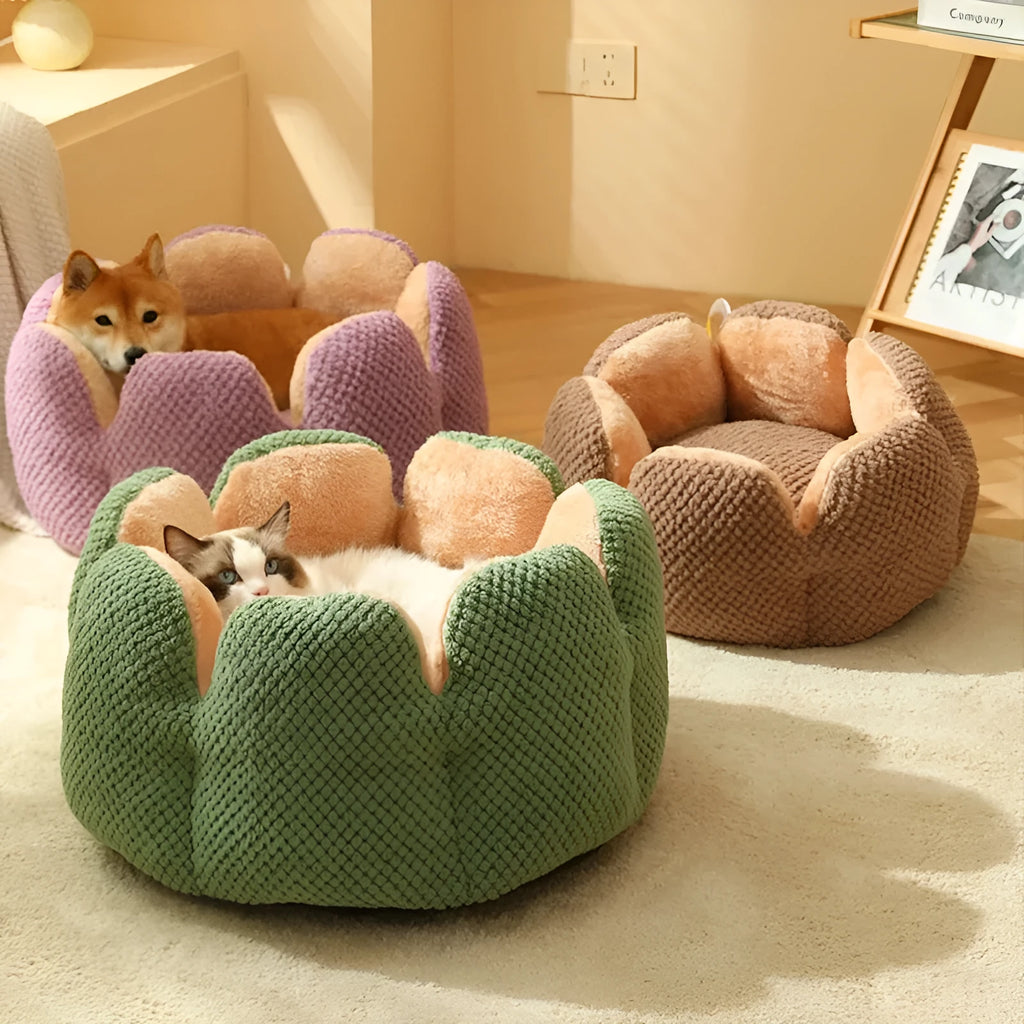 Green cactus petal shape plush kennel bed for cats and small dogs on a hardwood floor.