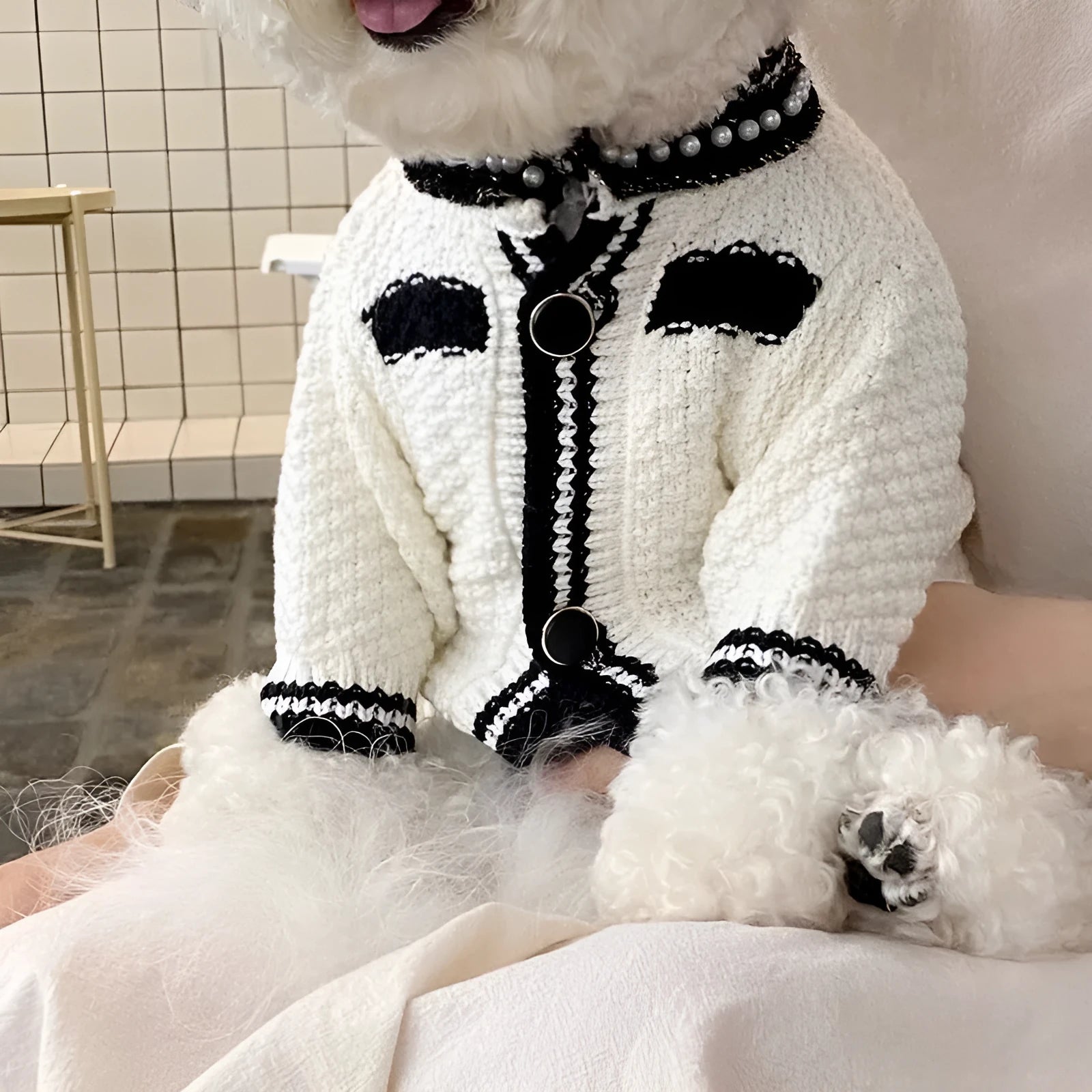 White Korean style dog sweater with pearl collar on small dog, showing princess cut and decorative details