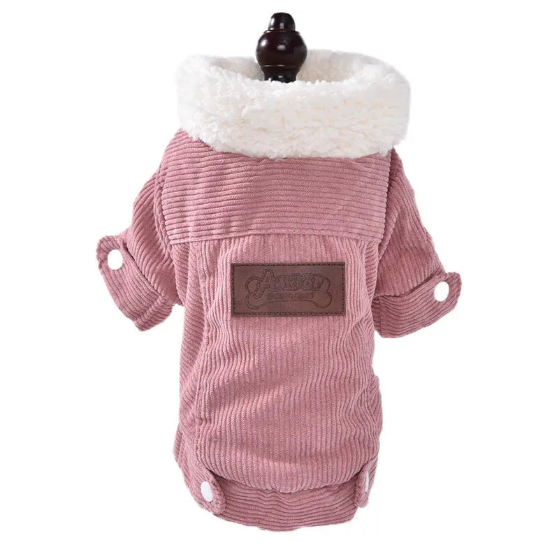 Dog wearing grey lambswool vest with fleece lining for autumn and winter warmth