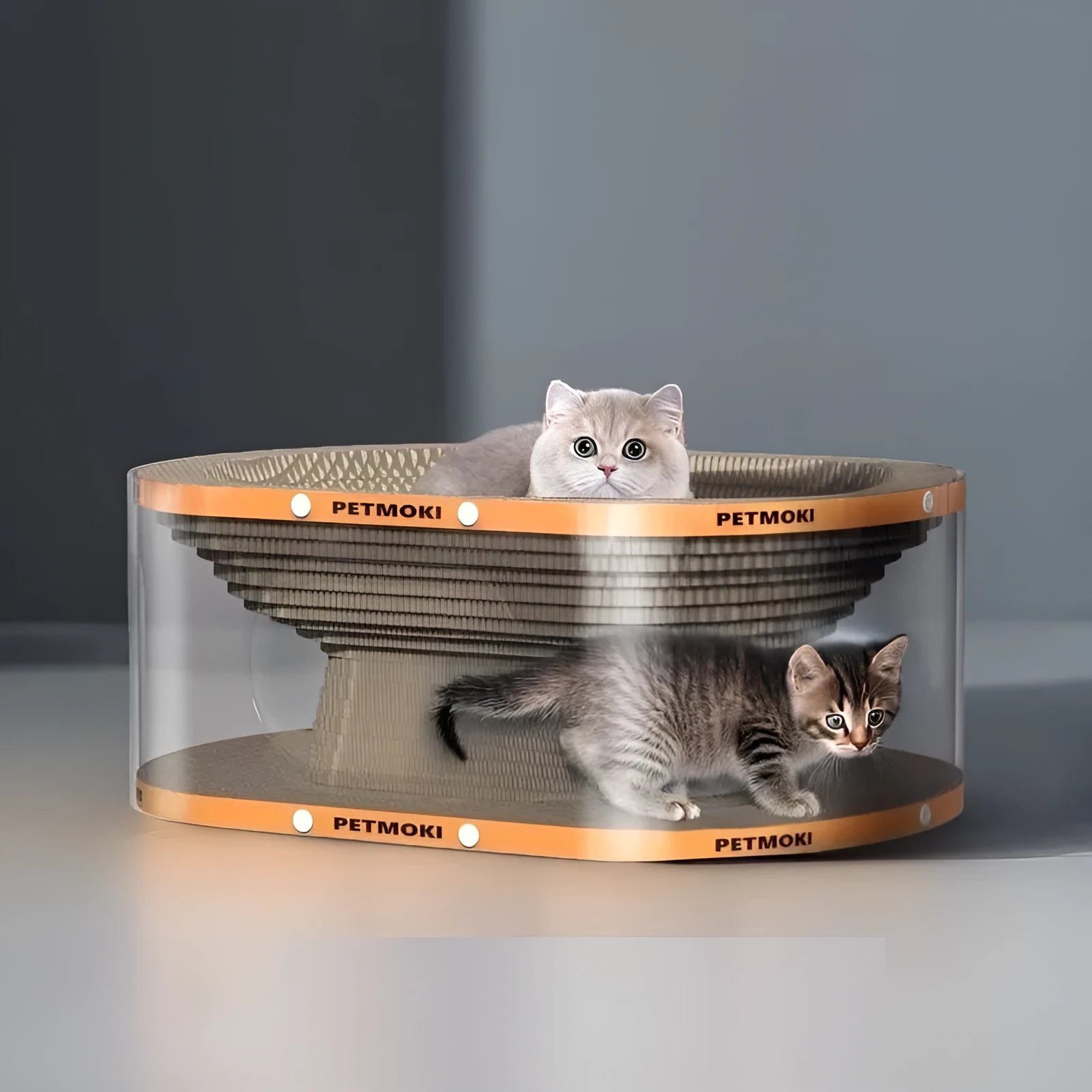 White transparent cat scratch board and nest tunnel measuring 58cm by 45cm by 23cm