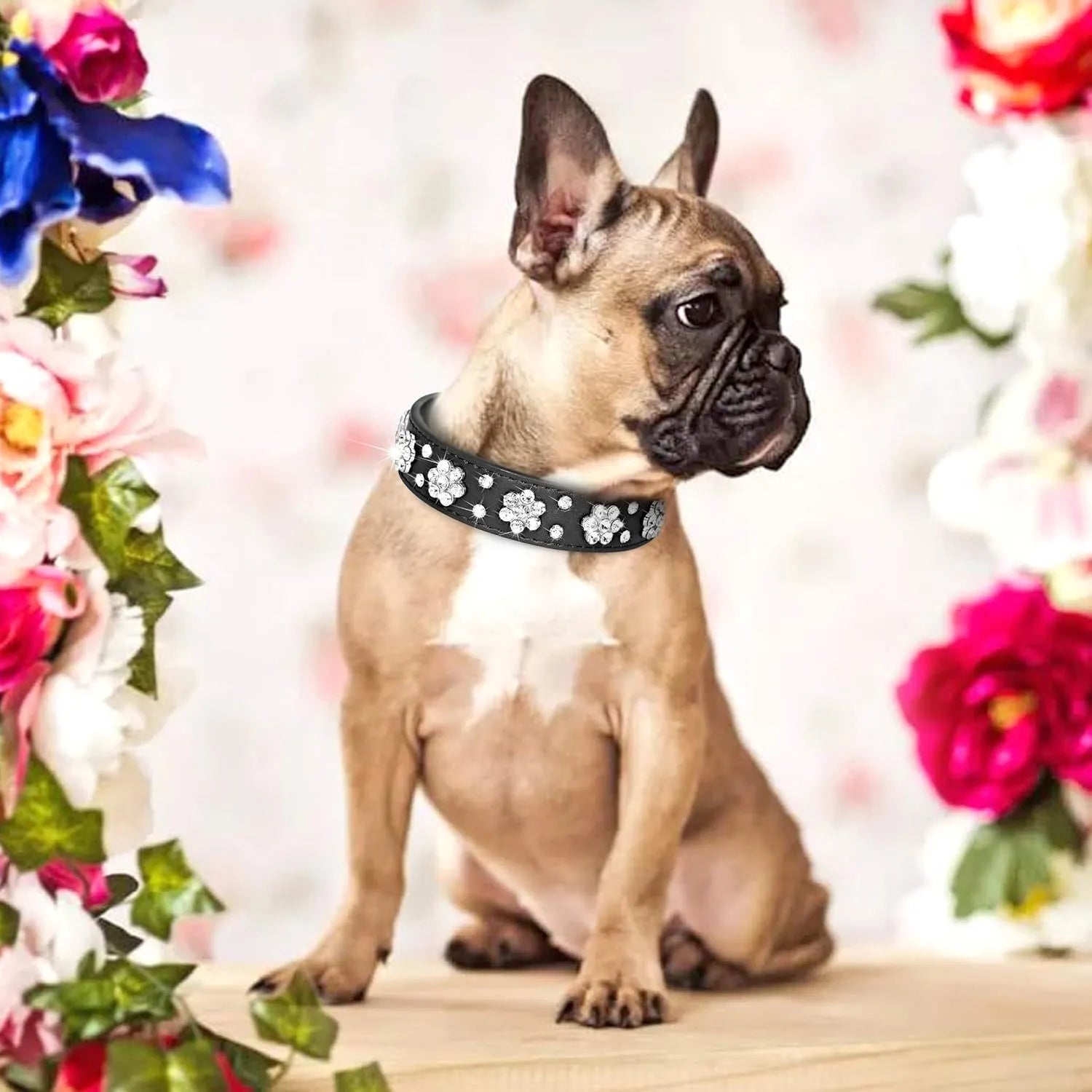 PU leather dog collar with rhinestone flower studs in black, showing metal D-ring and adjustable eyelets.