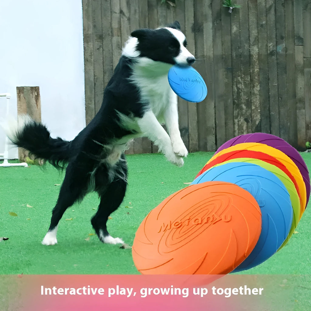 Soft rubber dog frisbee fetch toy shown in blue, green, and red colours for small, medium, and large sizes.