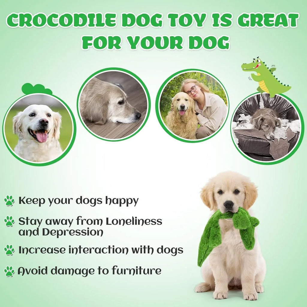 Green crocodile plush dog toy with stuffing-free design for aggressive chewers measuring 20cm